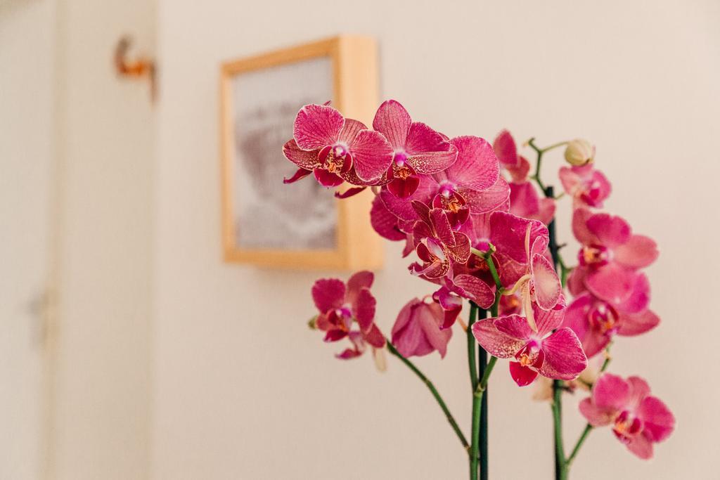 Adriano Augusto Bed and Breakfast Rom Værelse billede